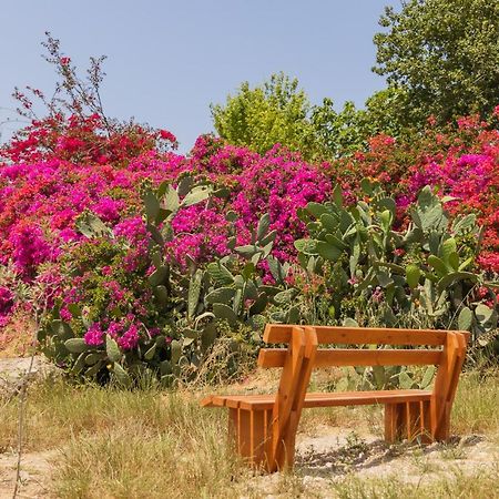 Tal Shahar Zimmers Ngoại thất bức ảnh