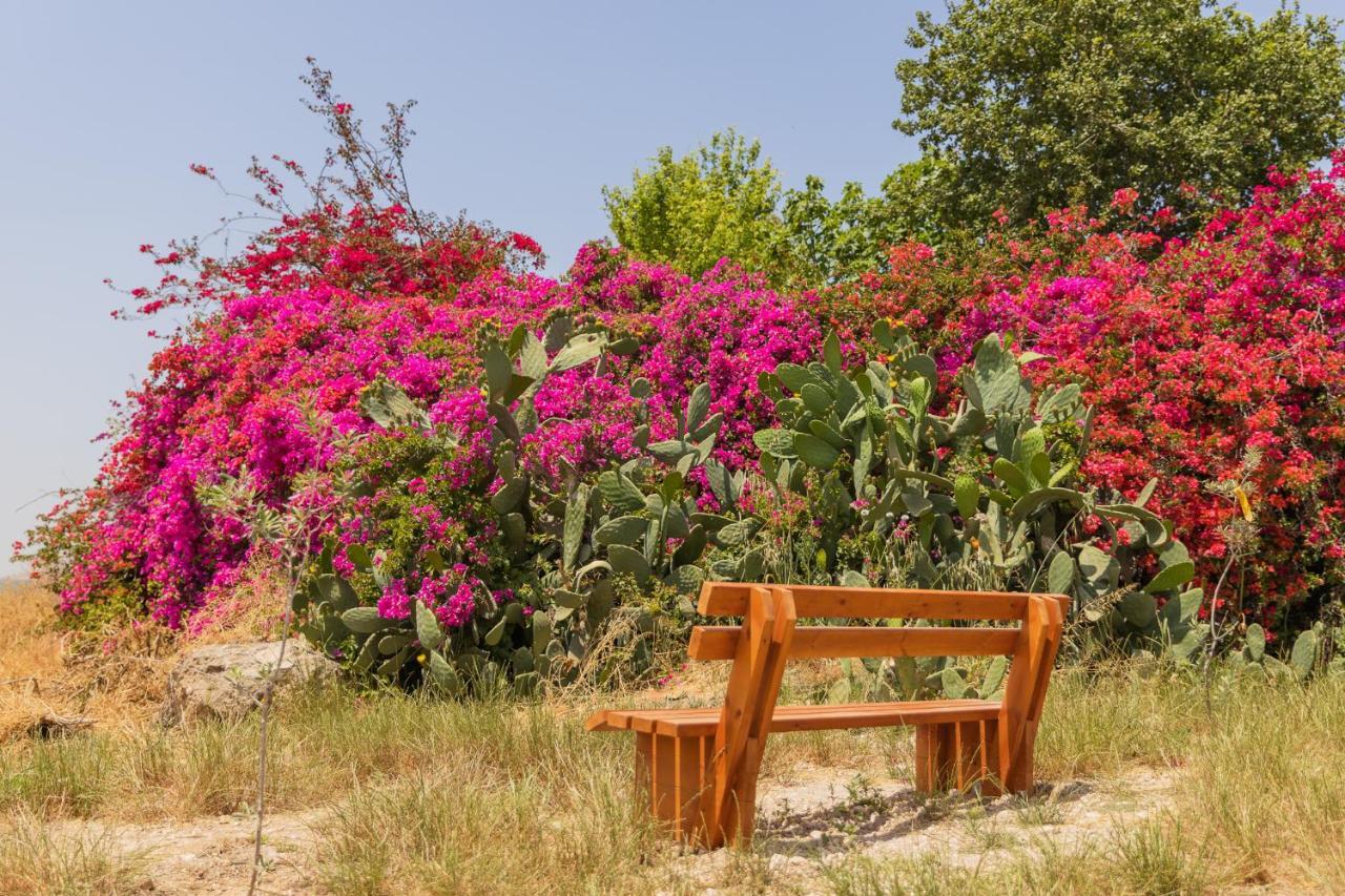Tal Shahar Zimmers Ngoại thất bức ảnh